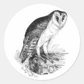 Barn Owl Ronde Sticker (Voorkant)