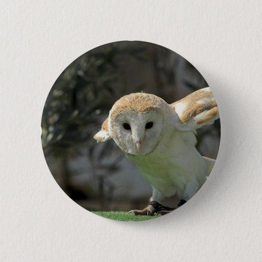 Barn Owl Round Button (Voorkant)