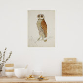 Barn owl rustic  natuur vogel illustratie poster (Keuken)
