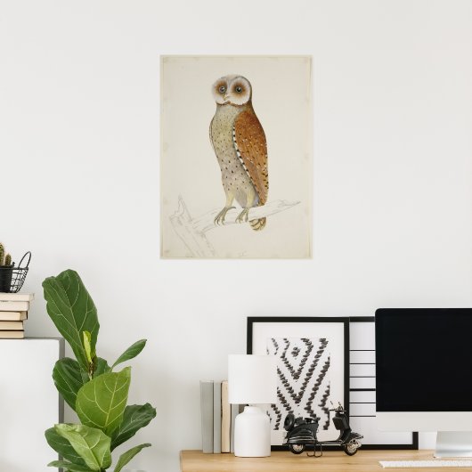 Barn owl rustic  natuur vogel illustratie poster (Thuiskantoor)