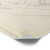 Barn owl rustic  natuur vogel illustratie poster (Hoek)