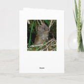 Barn owl Scotland Kaart (Achterkant)