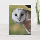 Barn owl Scotland Kaart (Voorkant)