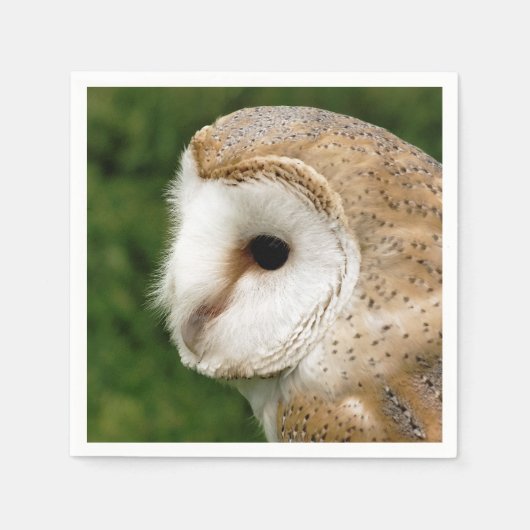 BARN OWL SERVETTEN (Voorkant)