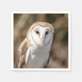 Barn Owl Servetten (Voorkant)