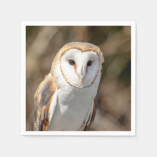 Barn Owl Servetten (Voorkant)