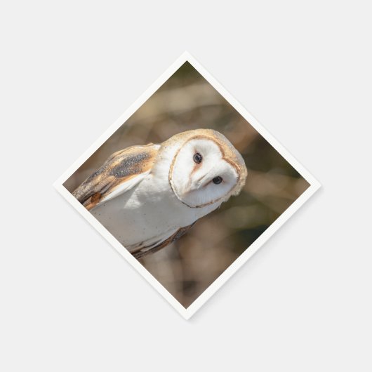 Barn Owl Servetten (Hoek)