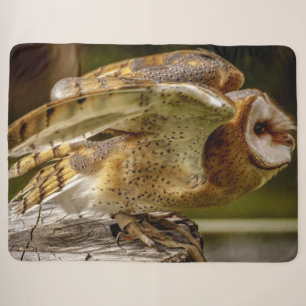 BARN OWL SHERPA DEKEN