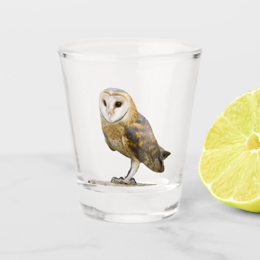 Barn Owl Shot Glas (Voorkant)