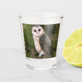 Barn Owl Shot Glass Shot Glas (Voorkant)