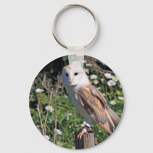 Barn Owl Sleutelhanger (Voorkant)