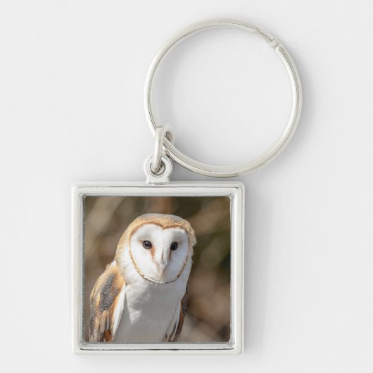 Barn Owl Sleutelhanger (Voorkant)
