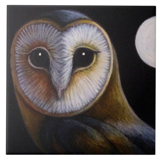 BARN OWL SLUIT OP EN VOLLEDIGE MOON TIL TEGELTJE (Voorkant)