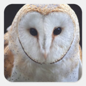 Barn Owl Sticker (Voorkant)