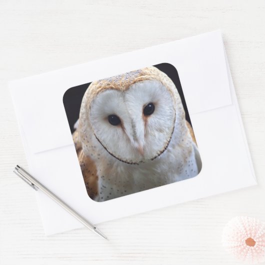 Barn Owl Sticker (Envelop)