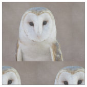 Barn Owl Stof (Close Up)