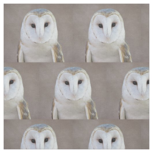 Barn Owl Stof (Swatch)