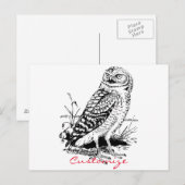 Barn Owl Thunder_Cove Briefkaart (Voorkant / Achterkant)