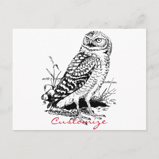 Barn Owl Thunder_Cove Briefkaart (Voorkant)