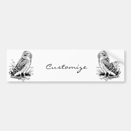 Barn Owl Thunder_Cove Bumpersticker (Voorkant)
