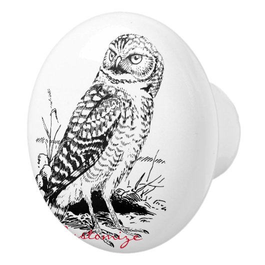 Barn Owl Thunder_Cove Keramische Knop (Rechts)