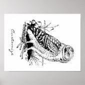 Barn Owl Thunder_Cove Poster (Voorkant)