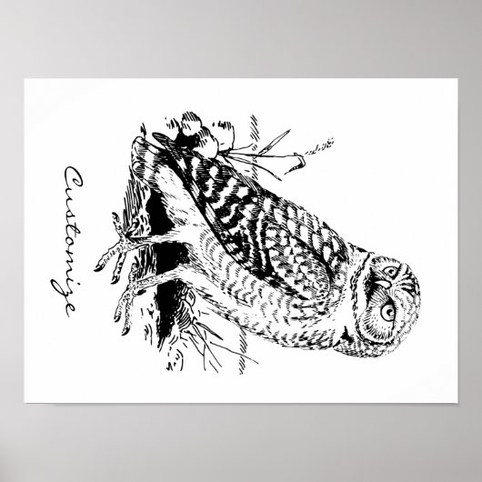 Barn Owl Thunder_Cove Poster (Voorkant)