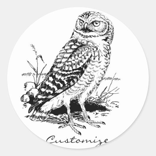 Barn Owl Thunder_Cove Ronde Sticker (Voorkant)