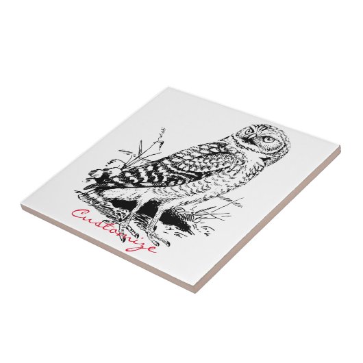 Barn Owl Thunder_Cove Tegeltje (Zijkant)