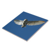 Barn Owl tijdens de vlucht overdag Tegeltje (Zijkant)