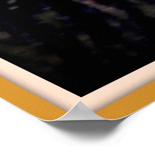 Barn Owl tijdens de vlucht Poster (Hoek)