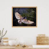 Barn Owl tijdens de vlucht Poster (Keuken)