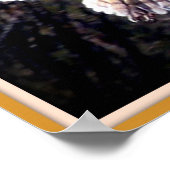 Barn Owl tijdens de vlucht Poster (Hoek)