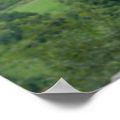 Barn Owl tijdens de vlucht Poster (Hoek)