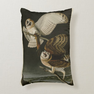 Barn Owl (Tyto alba) Audubon's Birds of America Accent Kussen