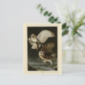 Barn Owl (Tyto alba) Audubon's Birds of America Briefkaart (Staand voorkant)