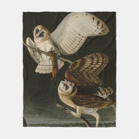 Barn Owl (Tyto alba) Audubon's Birds of America Fleece Deken (Voorkant)