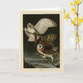 Barn Owl (Tyto alba) Audubon's Birds of America Kaart (Gele Bloem)