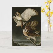 Barn Owl (Tyto alba) Audubon's Birds of America Kaart (Gele Bloem)