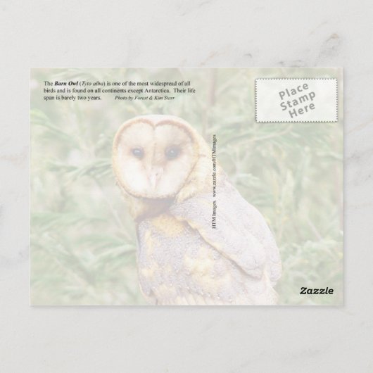 Barn Owl (Tyto alba) Briefkaart (Achterkant)
