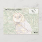Barn Owl (Tyto alba) Briefkaart (Achterkant)