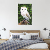 Barn owl (Tyto Alba) over handschoenen Canvas Afdruk (Insitu (Slaapkamer))
