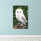 Barn owl (Tyto Alba) over handschoenen Canvas Afdruk (Insitu (Houten vloer))