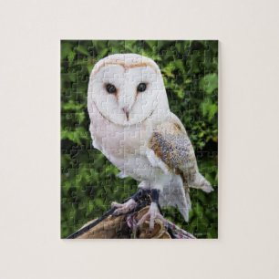 Barn owl (Tyto Alba) over handschoenen Legpuzzel