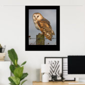 Barn Owl (Tyto alba). Poster door cARTerART (Thuiskantoor)