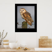 Barn Owl (Tyto alba). Poster door cARTerART (Keuken)
