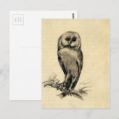 Barn Owl Vanuit het front bekeken door Vincent van Briefkaart (Voorkant / Achterkant)