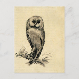 Barn Owl Vanuit het front bekeken door Vincent van Briefkaart