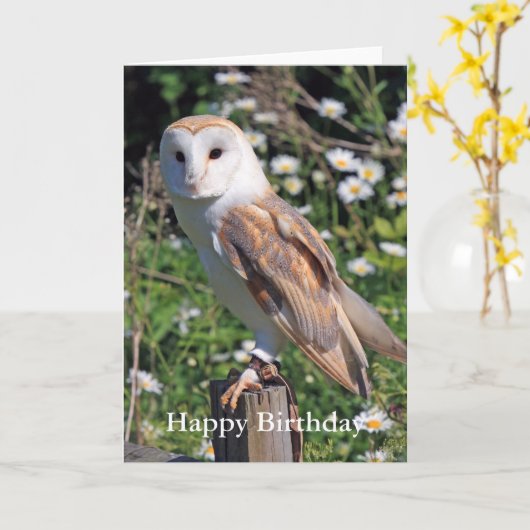 Barn Owl Verjaardag Kaart (Gele Bloem)