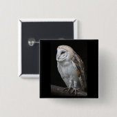 Barn Owl Vierkante Button 5,1 Cm (Voorkant /achterkant)